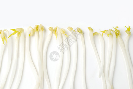 创意蔬菜白色背景上的黄豆芽图片