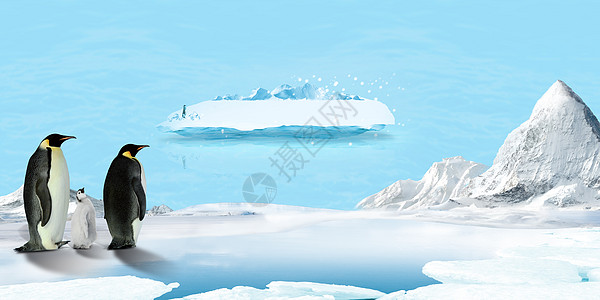 企鹅游泳冰凉一夏背景设计图片