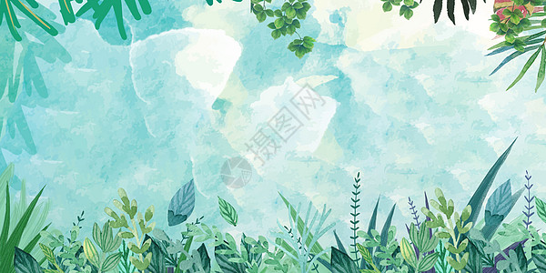 热带雨林植被夏天背景设计图片