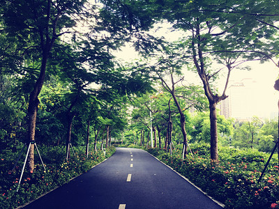 黑白芝麻公园道路背景