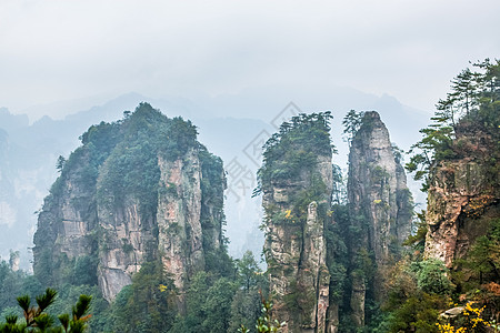 张家界山峰雨后张家界背景