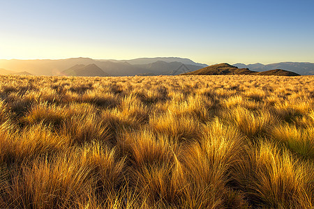 日出时分的高山牧场草甸高清图片素材