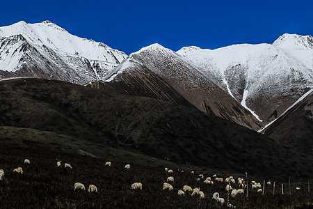 青海岗什卡雪山图片