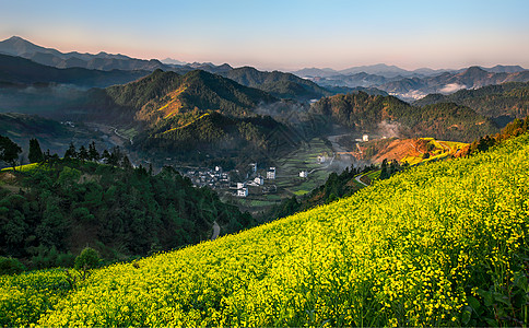 安徽歙县开满油菜花的山中村落背景