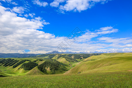 甘肃张掖康乐草原背景