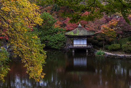 日本花园日本庭院背景