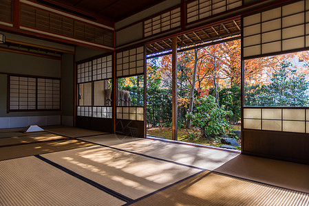 日本 枫叶日本庭院和榻榻米背景