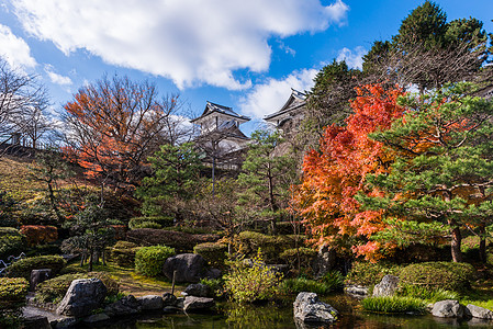 孔雀城日本建筑金泽城的秋天背景