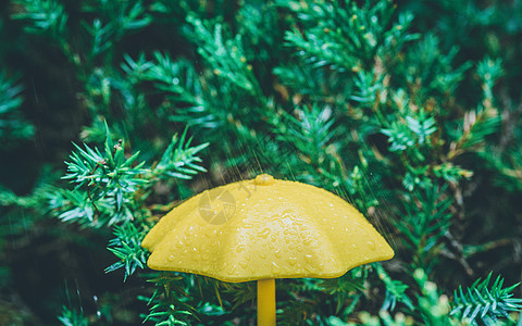 黄色夏天雨天雨伞下雨特写背景