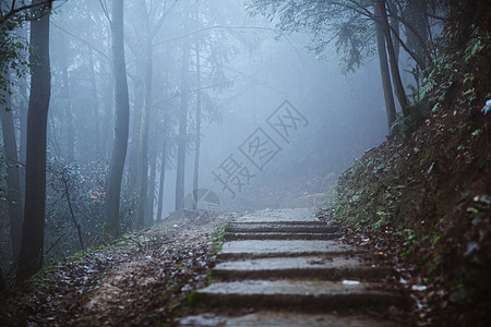 山林背景雾中的山林背景