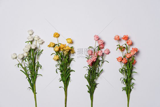 花卉组合摆放素材图片