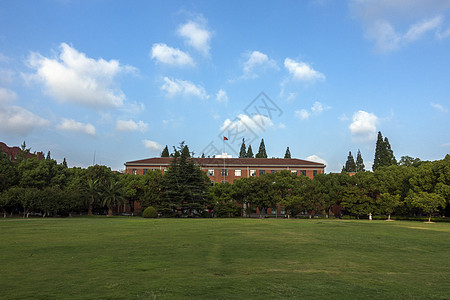 大树成长学校教学楼草坪背景