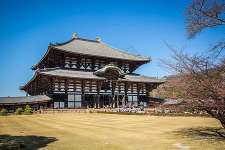 日本佛日本奈良东大寺背景