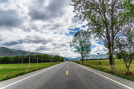 绿色公路四川317国道路边风景背景