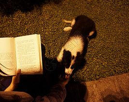 美女与狗傍晚夜读图片