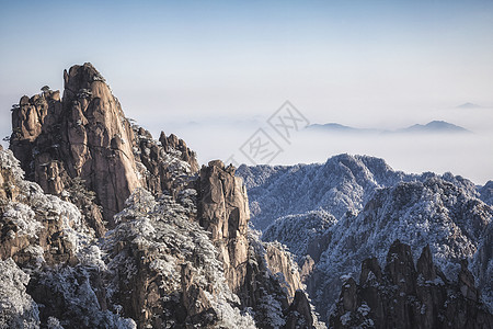 黄山雪松山峦美景高清图片