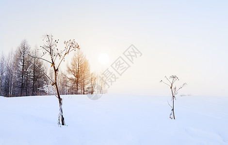 哈尔滨雪冬日暖阳简约背景背景