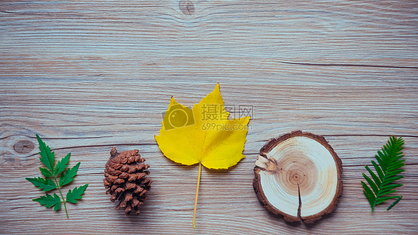 秋天黄色叶子素材图片