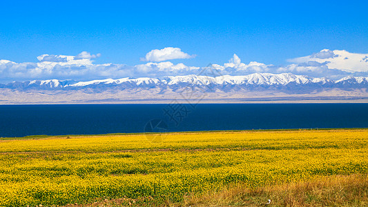 青海湖风景青海湖背景