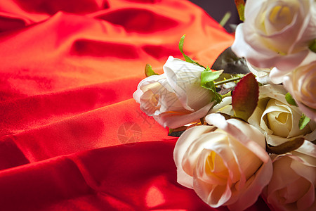 红背景上的白玫瑰高清图片