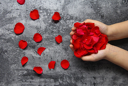 双手捧礼物双手捧着红玫瑰花瓣七夕情人节静物素材背景