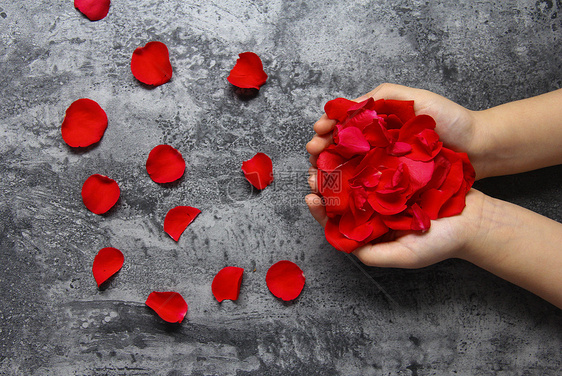 双手捧着红玫瑰花瓣七夕情人节静物素材图片
