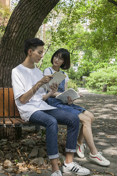 学校绿荫学生们一起认真学习知识图片