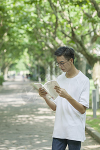 学校林荫道上男同学下课学习看书图片