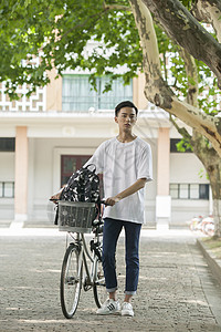 学校教室前的林荫小道上男同学推自行车图片