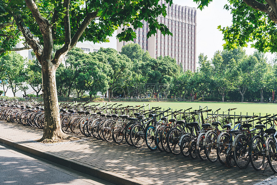 大学校园环境图片