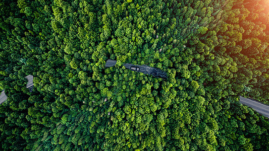 大森林穿越森林的公路设计图片