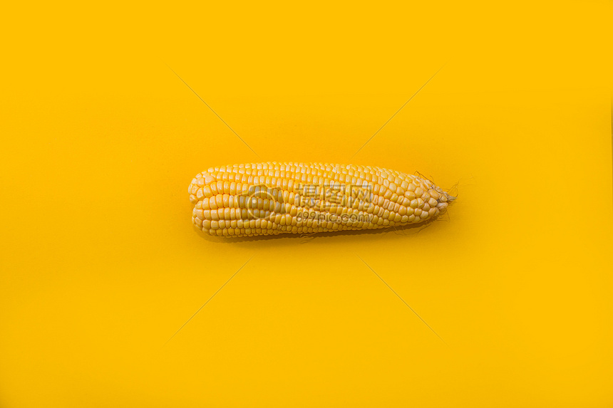 黄色背景上的黄色玉米图片