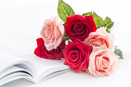 一束玫瑰花图片素材_免费下载_jpg图片格式_V