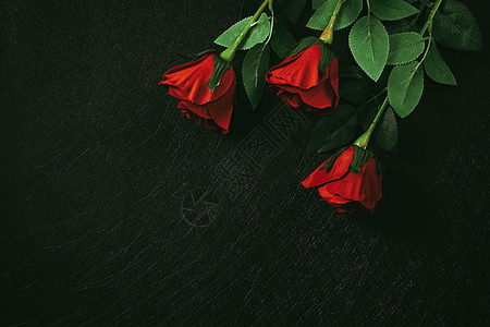 红玫瑰黑色神秘高清图片