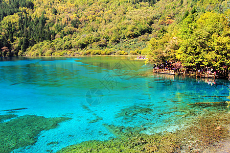 小清晰九寨沟背景