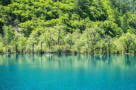 堰塞湖九寨沟风光背景