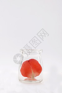 空杯子里一片玫瑰花瓣背景图片