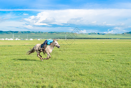 草原骑马内蒙古绿色旗高清图片