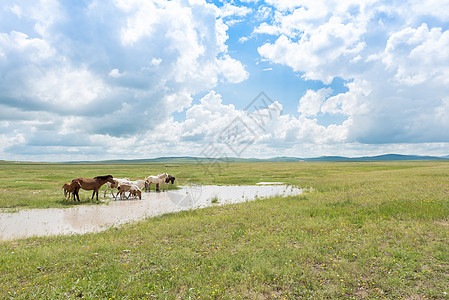 内蒙古草原乌拉盖草原高清图片