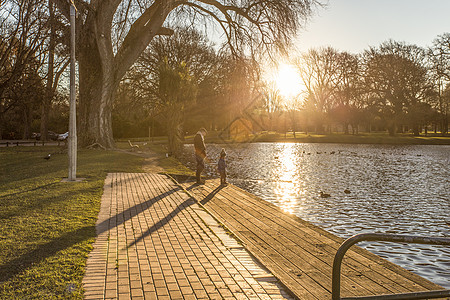 湖边玩耍阳光午后海格力公园背景