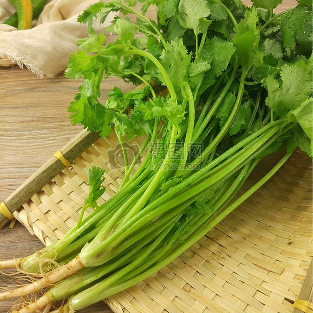 香菜