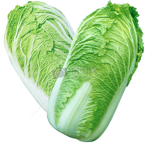 白菜