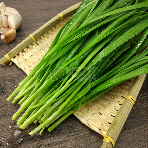 韭黄是韭菜吗