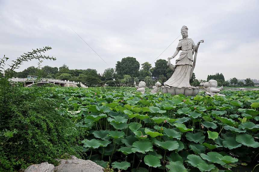 南京玄武湖荷花池莲花仙子雕像图片