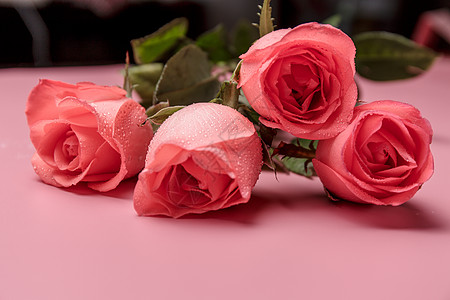 粉色情人节浪漫玫瑰花背景