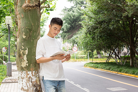 拿着书站在校园树下看书的男生背景图片