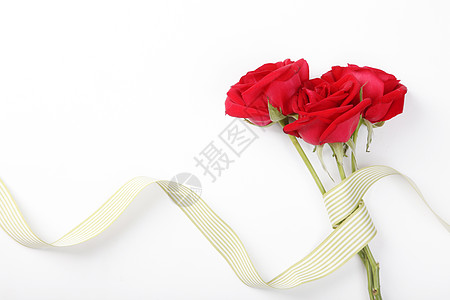 玫瑰花图片情人节浪漫爱情高清图片