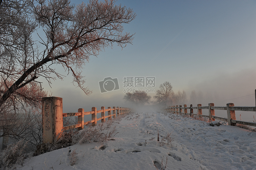 雪中的桥图片