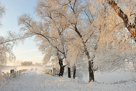 雪中的桥自然风景高清图片