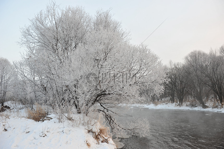 雪景图片